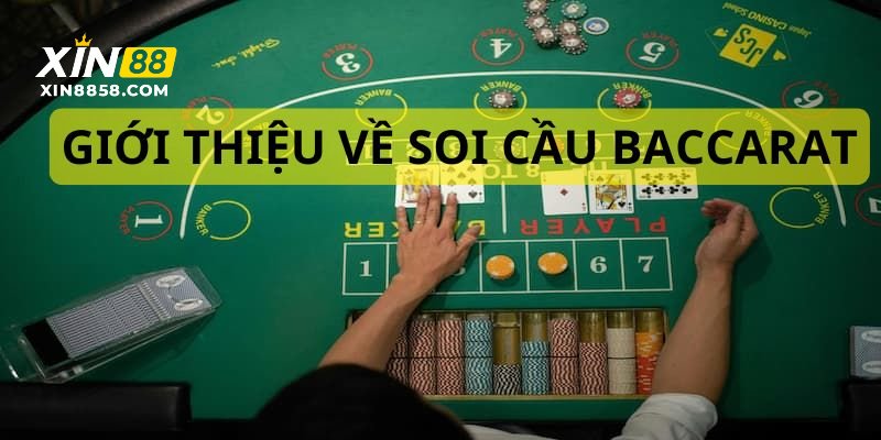 Giới thiệu về soi cầu baccarat dành cho người mới 