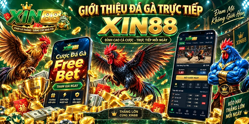 Đá gà xin88